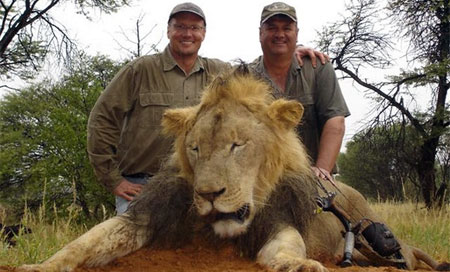 Zimbabue pide a EEUU la extradición del asesino del león Cecil